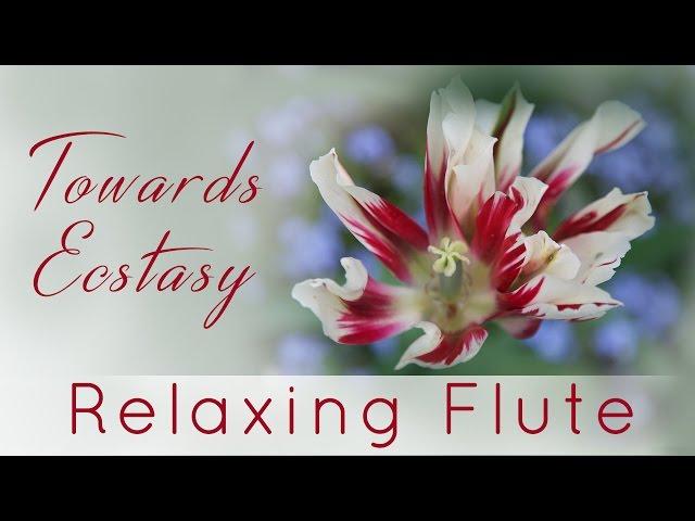 Relaxing Flute Instrumental | Towards Ecstasy | Kanchman Babbar