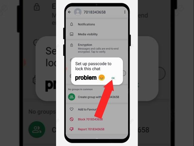 set up passcode to lock this chat problem | whatsapp chat lock passcode problem | chat lock problem