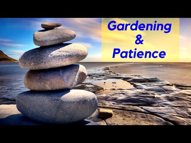 Gardening & Patience (Funny)