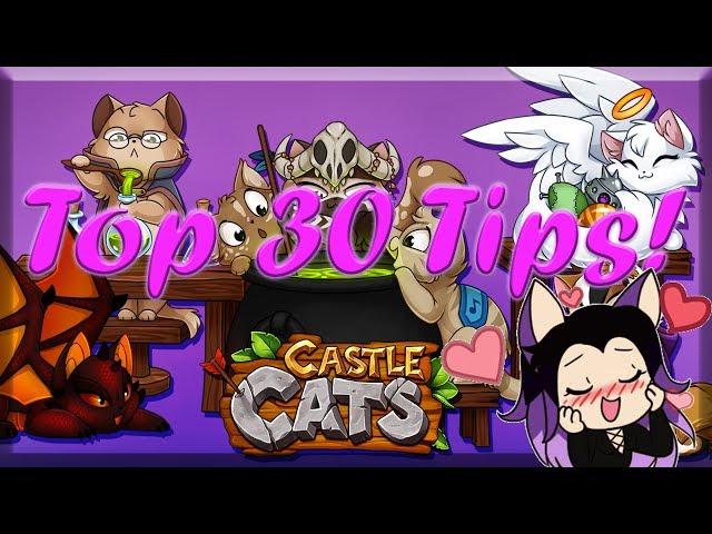 Castle Cats : Top 30 Tips! ~ Become a kitty Master!