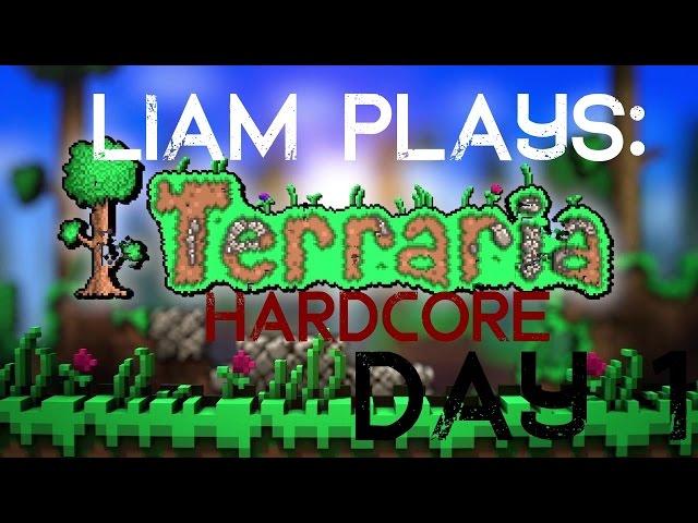 Terraria HARDCORE Challenge: Day 1 So it begins