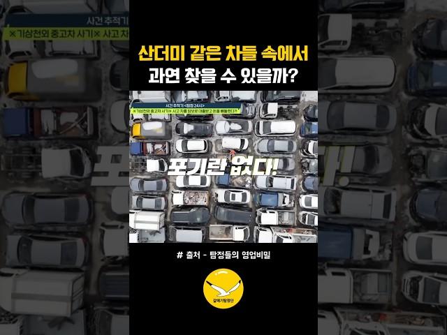 과연 찾을 수 있을까? #탐정들의영업비밀 #갈매기탐정단 #이상민탐정 #이성우탐정 #사람찾기 #증거수집 #탐정사무소