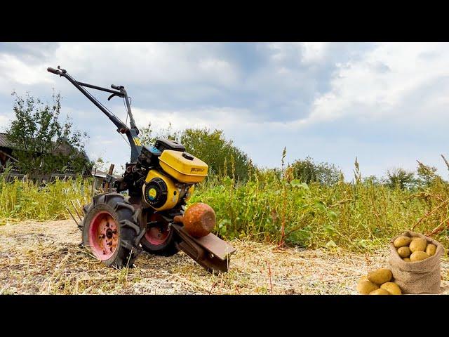 Potato digging in 2 minutes. Homemade map digger paw for a walk-behind tractor