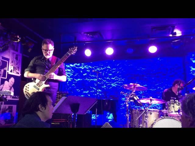 Stick men (Tony Levin) Iridium live show. New York.