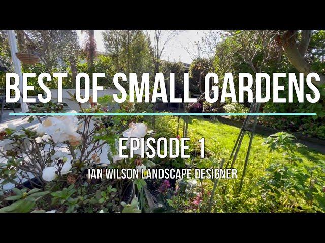 Best of Small Gardens a series by Ian Wilson Landscape Designer