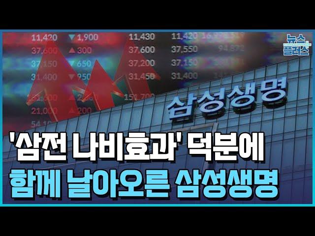 '삼성전자 나비효과'로 날아오른 삼성생명/한국경제TV뉴스