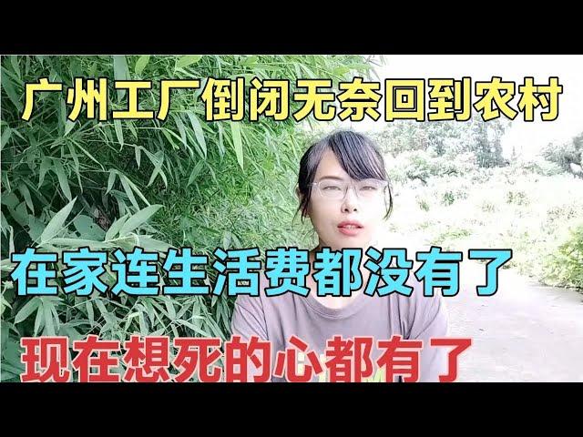 广州工厂倒闭失业无奈回家，在家生活费都没有，现在想死的心都有