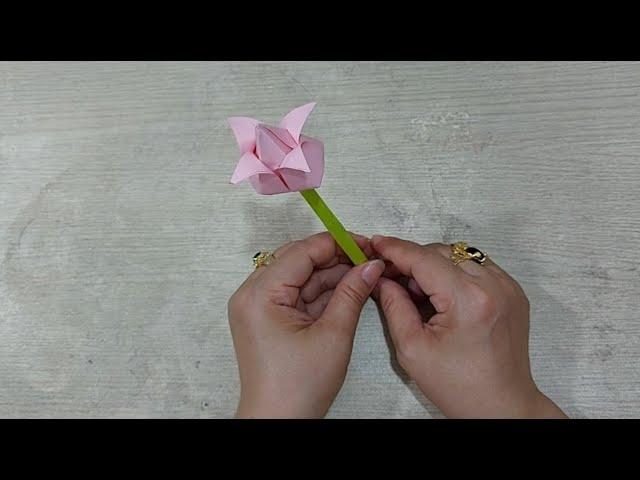 Làm thủ công Làm Cành Hoa Tulip trang trí bằng giấy đơn giản WIND PASSION