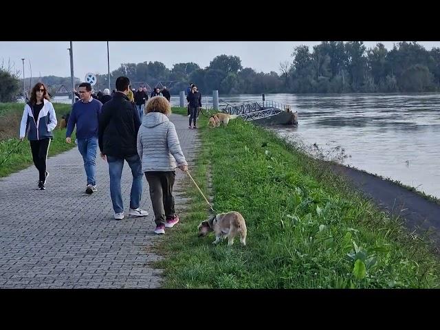 Piena del Po passa senza danni a Casalmaggiore: ma il caso Cadelbosco fa riflettere, 21 ottobre 2024