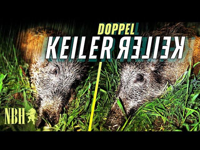 Doppel - Keiler erlegt im feinsten Nieselregen, Wildschweinjagd im April  |  Night Boar Hunter