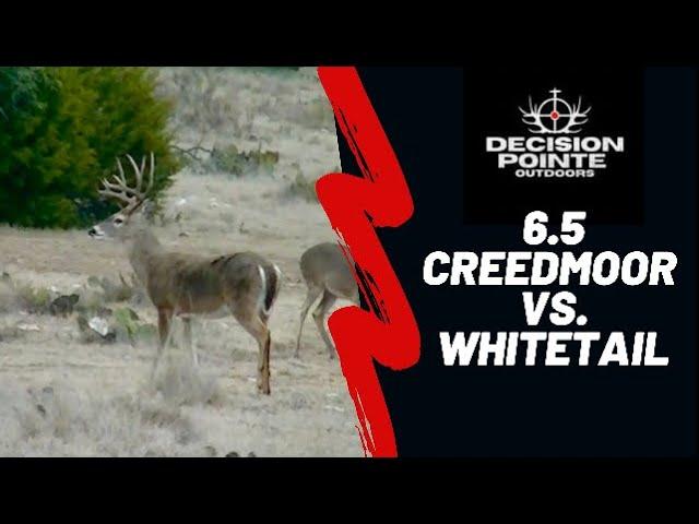 6.5 CREEDMOOR (ELD-X) Vs. Deer- (REAL Performance)