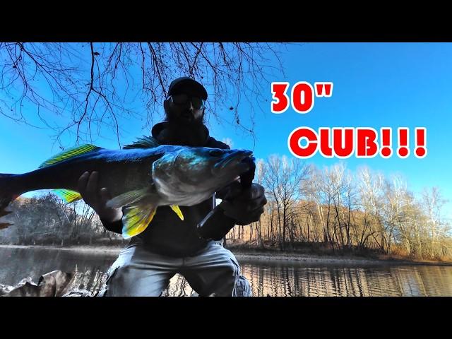 Been waiting years for this to happen!!! | 30" walleye | Why do bass fisherman lie about size?