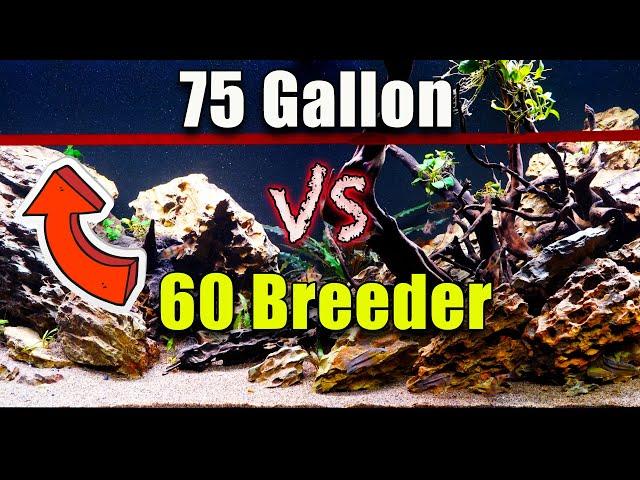 Watch This BEFORE You Buy! 75 Gallon vs 60 Breeder - Which Aquarium is Best?