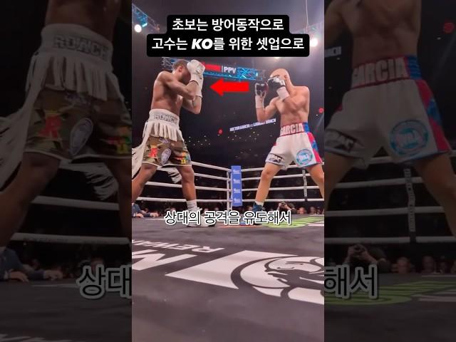 복싱고수들의 하이가드로 셋업하기 #스포츠 #boxing #ufc