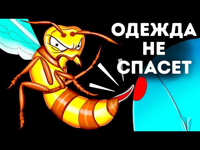 Что случится, если вас ужалит азиатский огромный шершень