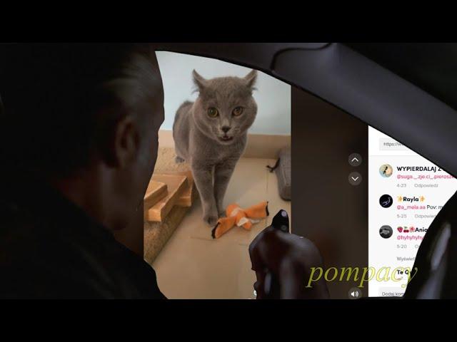 Paulie Walnuts watches TikTok but cat treatment is proper