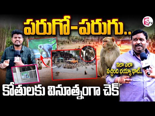 కోతులు విజృంభణ .. || Monkeys Hulchul In Karimnagar town || Latest News | @sumantvkandukur