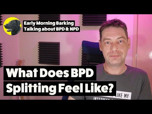 Inside the Mind: How BPD Splitting Really Feels