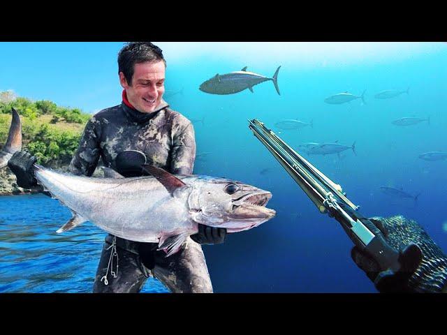 spearfishing the MOST POWERFUL fish in the ocean