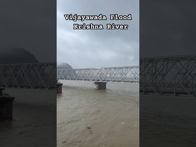 Vijayawada Flood Krishna River