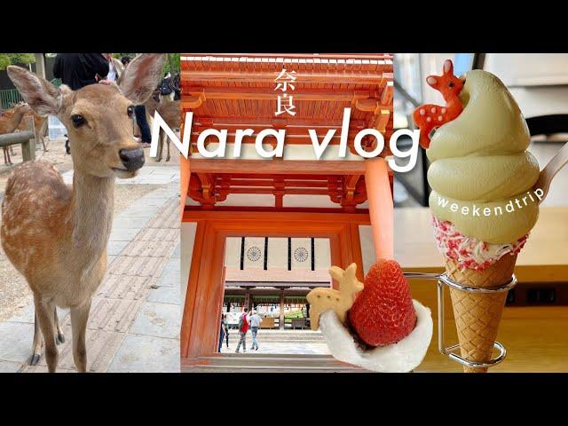 【JAPAN NaraTravel vlog】 traveling alone |  Kasuga Taisha , Todaiji Temple, NaraPark, NaraFood (sub