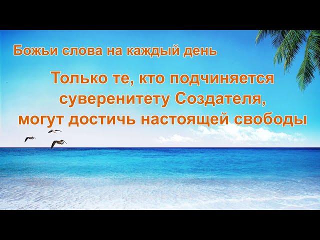Только те, кто подчиняется суверенитету Создателя, могут достичь настоящей свободы