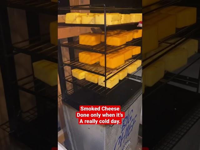 Last batch of smoked cheese before spring #shorts  #hobby #bigchief #cheese #yummy