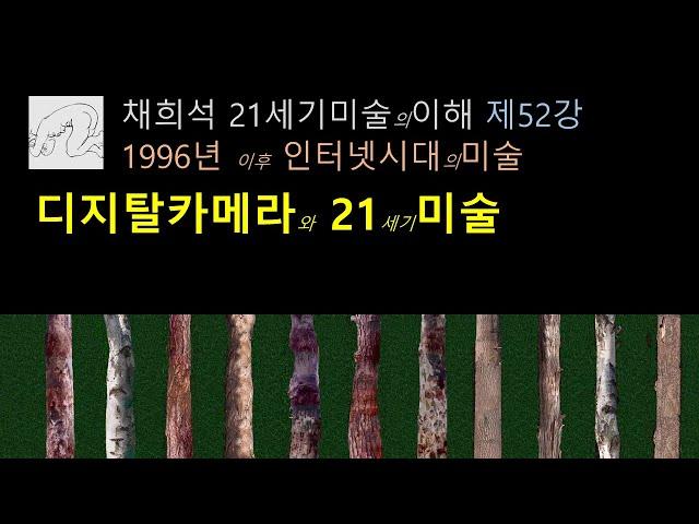 디지탈 카메라와21세기미술
