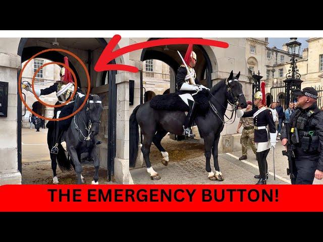 The King's Guard Activates the Emergency Button: All Hands on Deck! ️