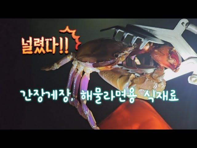 해산물 안주 어떻게하면 요래 잡을까? #해루질, #쭈꾸미, #돌게