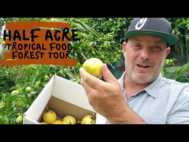 10 Year Old Tropical Food Forest Tour On A Half Acre In Hawai'i (With Tips To Make Yours Thrive)