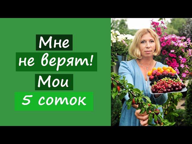 Мне не верят! Мои 5 соток