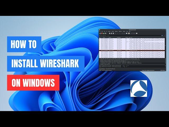 How to Install Wireshark on Windows 11/10: Step-by-Step Guide