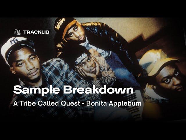 Sample Breakdown: A Tribe Called Quest - Bonita Applebum