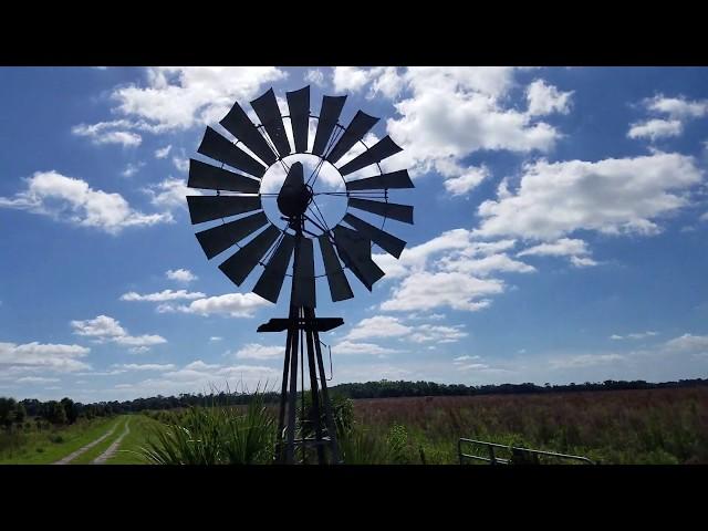 Trail Riding from Charles Bronson State Park to St. Johns River (Part 2)