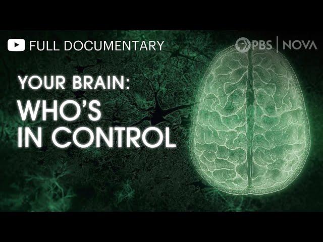 Your Brain: Who's in Control? | Full Documentary | NOVA | PBS