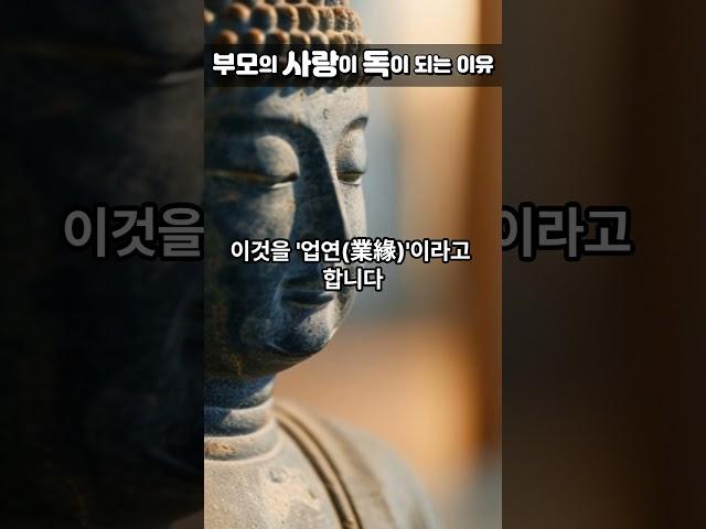 부모의 집착이 자식을 망친다 [놓아 주는 사랑의 지혜]