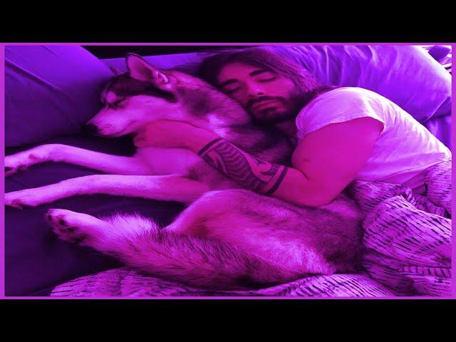 Charlie Stories To Help You Sleep | MoistCr1tikal