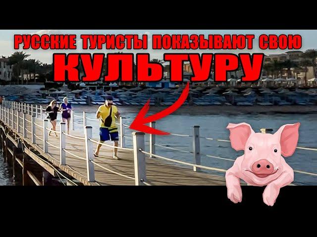 Египет 2022. русские туристы показывают свою культуру. Rehana Royal Beach. Шарм эль Шейх.