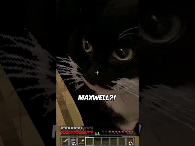 Maxwell die Katze in MINECRAFT? #minecraftshorts #lustig #maxwell