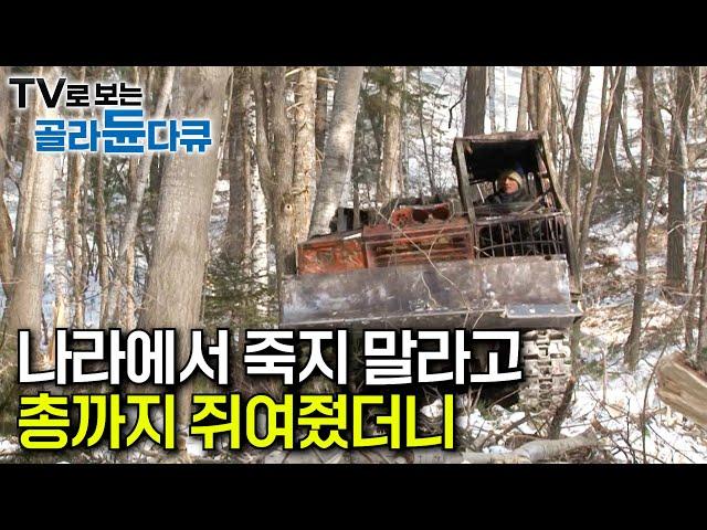 영하 30℃의 생존게임. 밤에 잘 때는 곰, 호랑이들도 있어서정부에서 총기허가도 받았다｜극한의 추위와 싸우며 거대한 나무를 쓰러뜨리는 러시아 겨울 벌목공｜극한직업｜#골라듄다큐