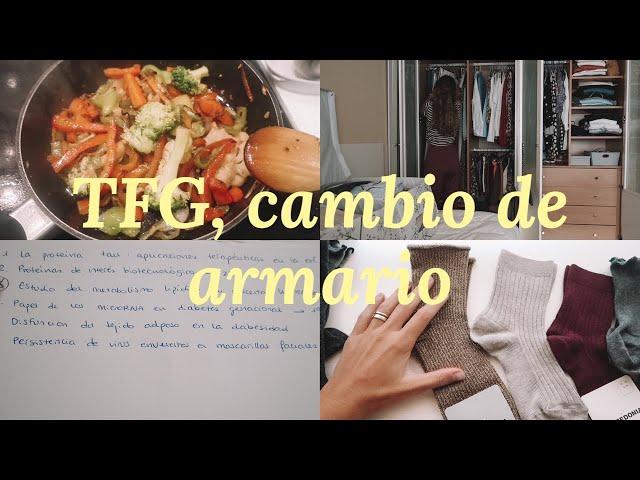 Vlog: CAMBIO DE ARMARIO, elijo TFG | Irene Bravo