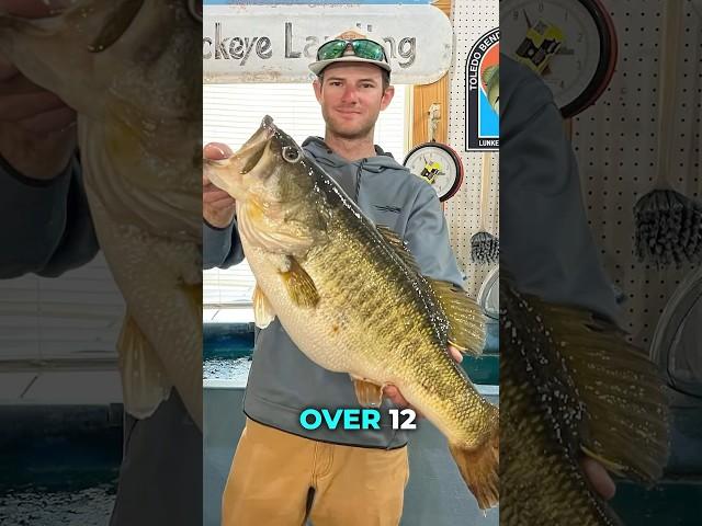 Catch a 10lb Bass? Get a FREE Replica at Toledo Bend!