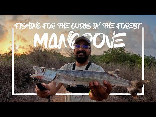 कांदळवन आणि मासेमारी ,fishing in mangrove forest in kokan vlog#45