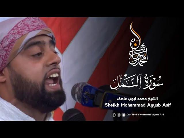 Qari Mohammad Ayyub Asif / Surah Naml - Amazing 