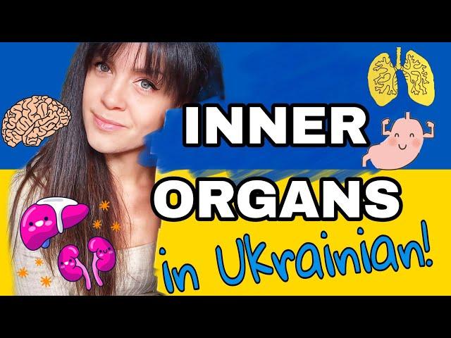 Ukrainian Vocabulary: Inner Organs