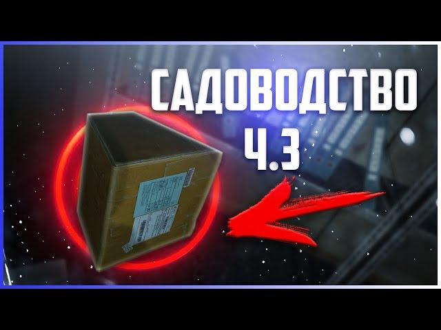 Садоводство ч.3 - Квест Механика - Где видеокарты?