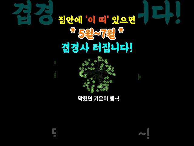 이 띠가 있다면 집안에 겹경사 터집니다 | 띠별운세 | 풍수 | 재물운