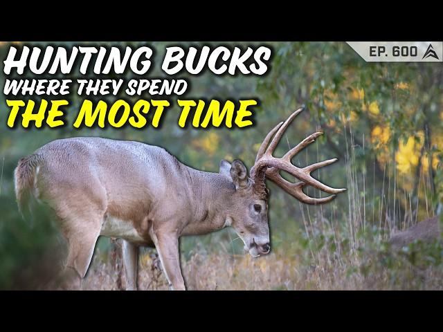 Shouldn't you hunt a buck where he spends the MOST time? 95% of hunters WONT do this