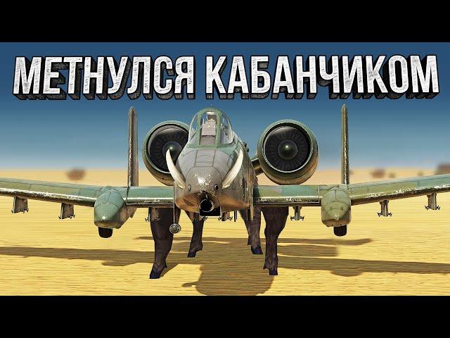 Thunder Show: МЕТНУЛСЯ КАБАНЧИКОМ